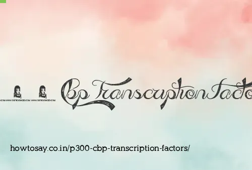 P300 Cbp Transcription Factors