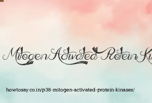 P38 Mitogen Activated Protein Kinases