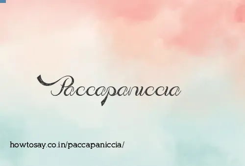 Paccapaniccia