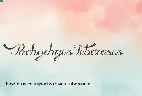 Pachyrhizus Tuberosus