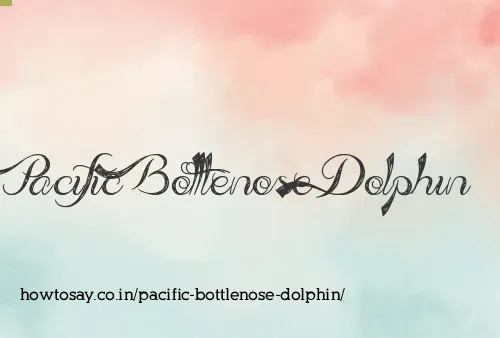 Pacific Bottlenose Dolphin