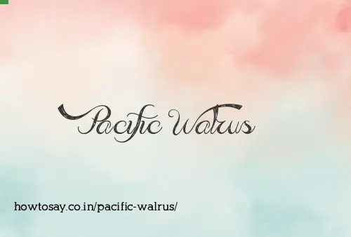 Pacific Walrus