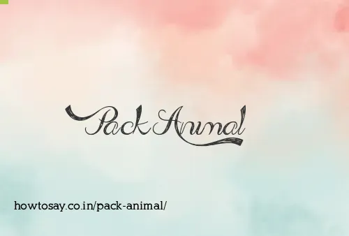 Pack Animal