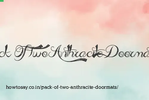 Pack Of Two Anthracite Doormats