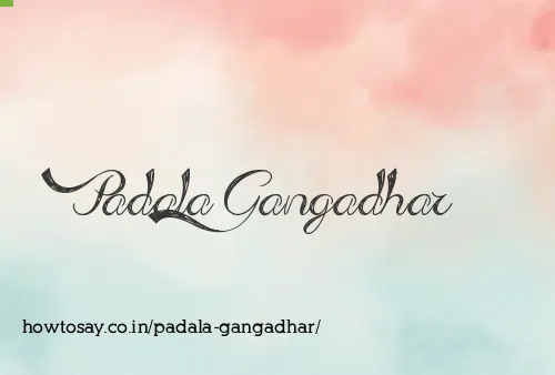 Padala Gangadhar