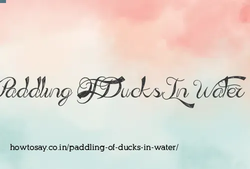 Paddling Of Ducks In Water