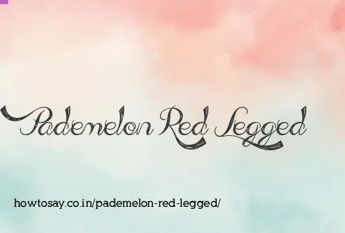 Pademelon Red Legged