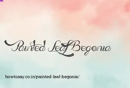 Painted Leaf Begonia