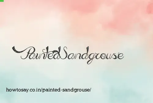 Painted Sandgrouse
