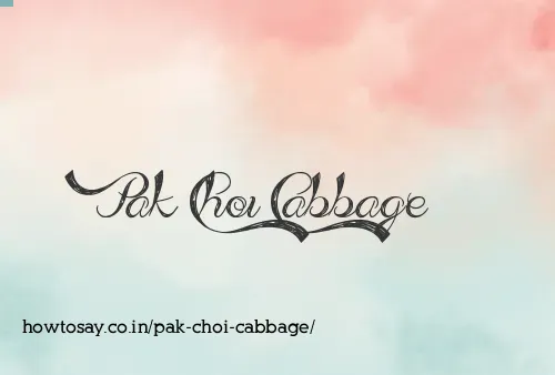 Pak Choi Cabbage