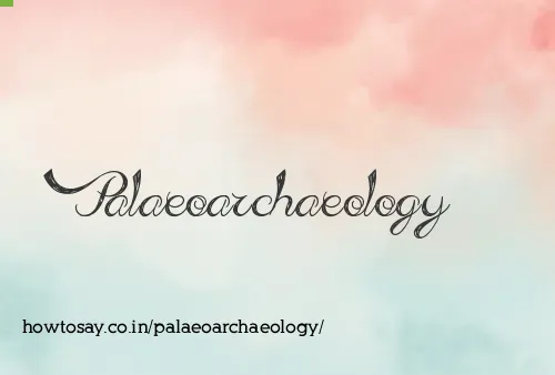 Palaeoarchaeology