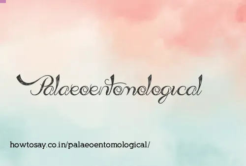 Palaeoentomological