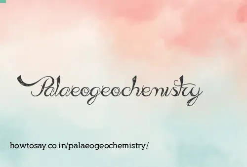Palaeogeochemistry
