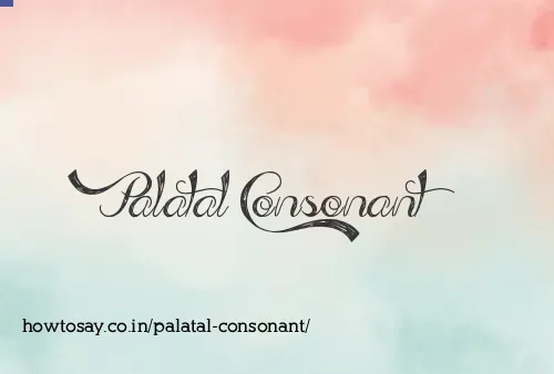 Palatal Consonant
