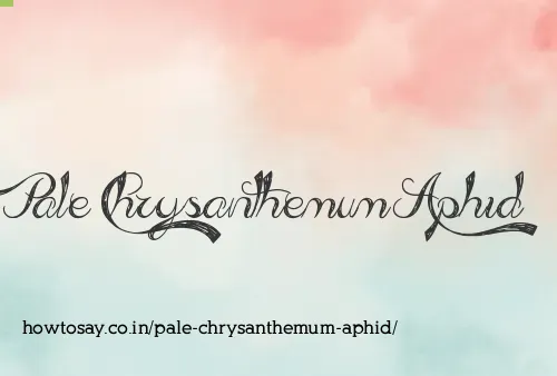 Pale Chrysanthemum Aphid