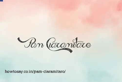 Pam Ciaramitaro