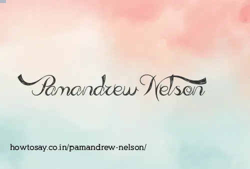 Pamandrew Nelson