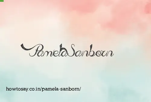 Pamela Sanborn
