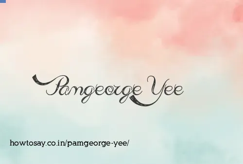 Pamgeorge Yee