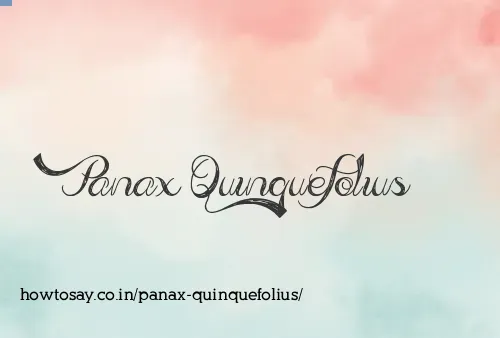 Panax Quinquefolius