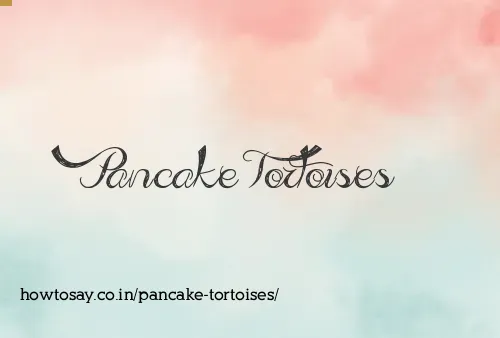 Pancake Tortoises