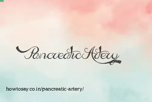 Pancreatic Artery