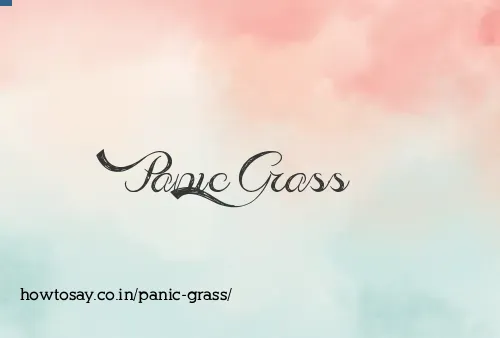 Panic Grass