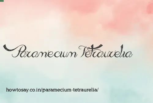Paramecium Tetraurelia