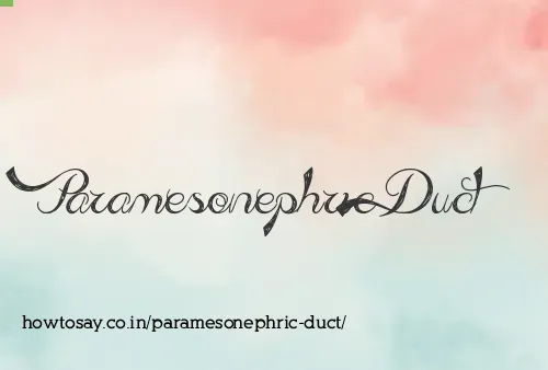 Paramesonephric Duct