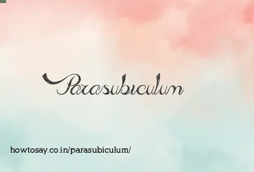 Parasubiculum