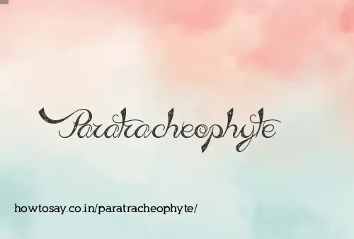 Paratracheophyte