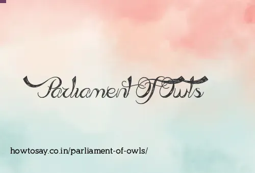 Parliament Of Owls