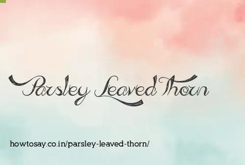 Parsley Leaved Thorn