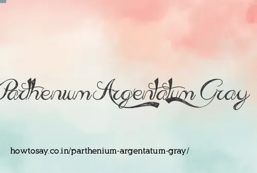 Parthenium Argentatum Gray