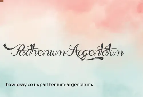Parthenium Argentatum