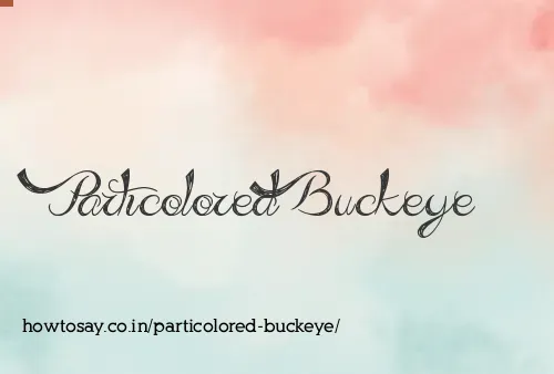 Particolored Buckeye