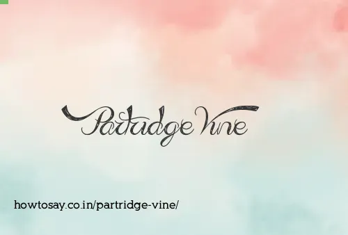 Partridge Vine