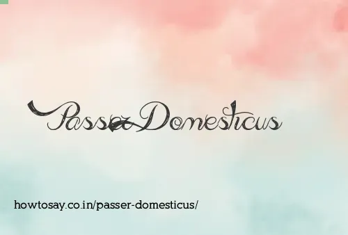 Passer Domesticus