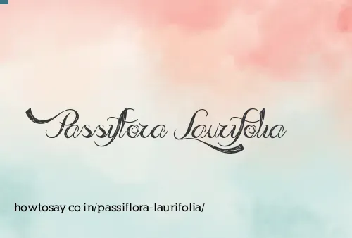 Passiflora Laurifolia