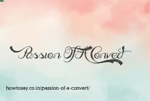 Passion Of A Convert