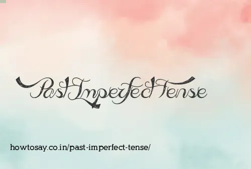 Past Imperfect Tense