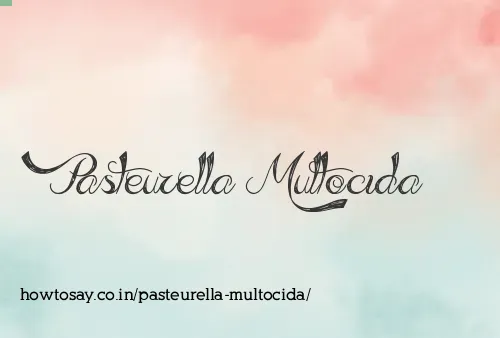 Pasteurella Multocida
