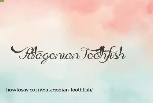 Patagonian Toothfish