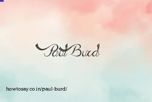Paul Burd