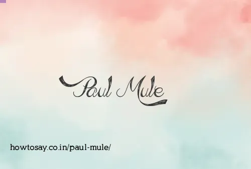 Paul Mule
