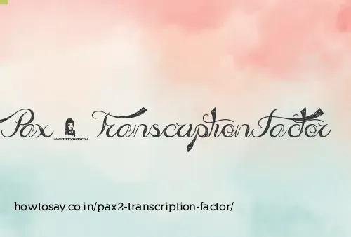 Pax2 Transcription Factor