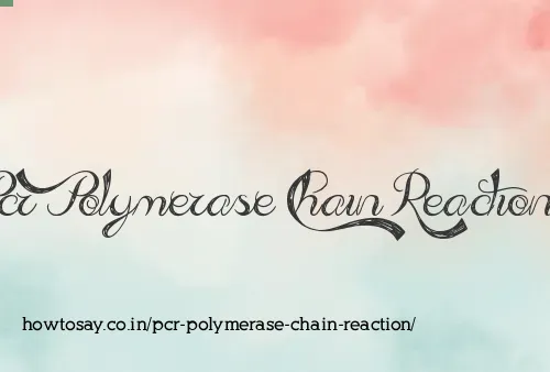 Pcr Polymerase Chain Reaction