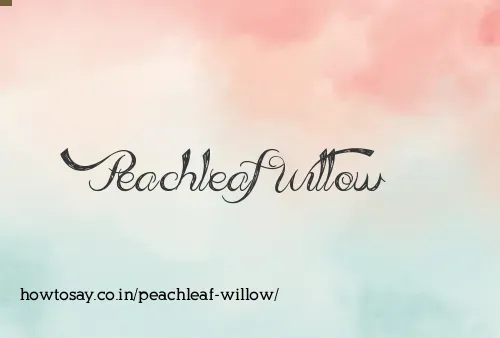 Peachleaf Willow