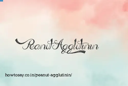 Peanut Agglutinin