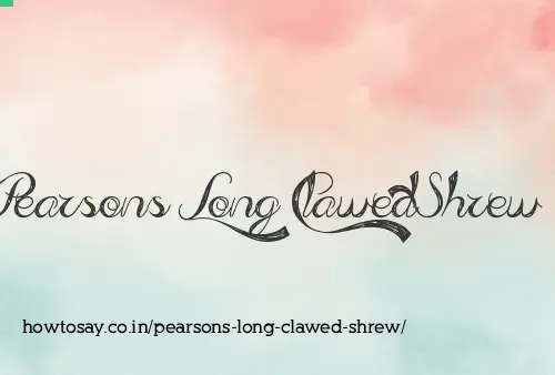 Pearsons Long Clawed Shrew